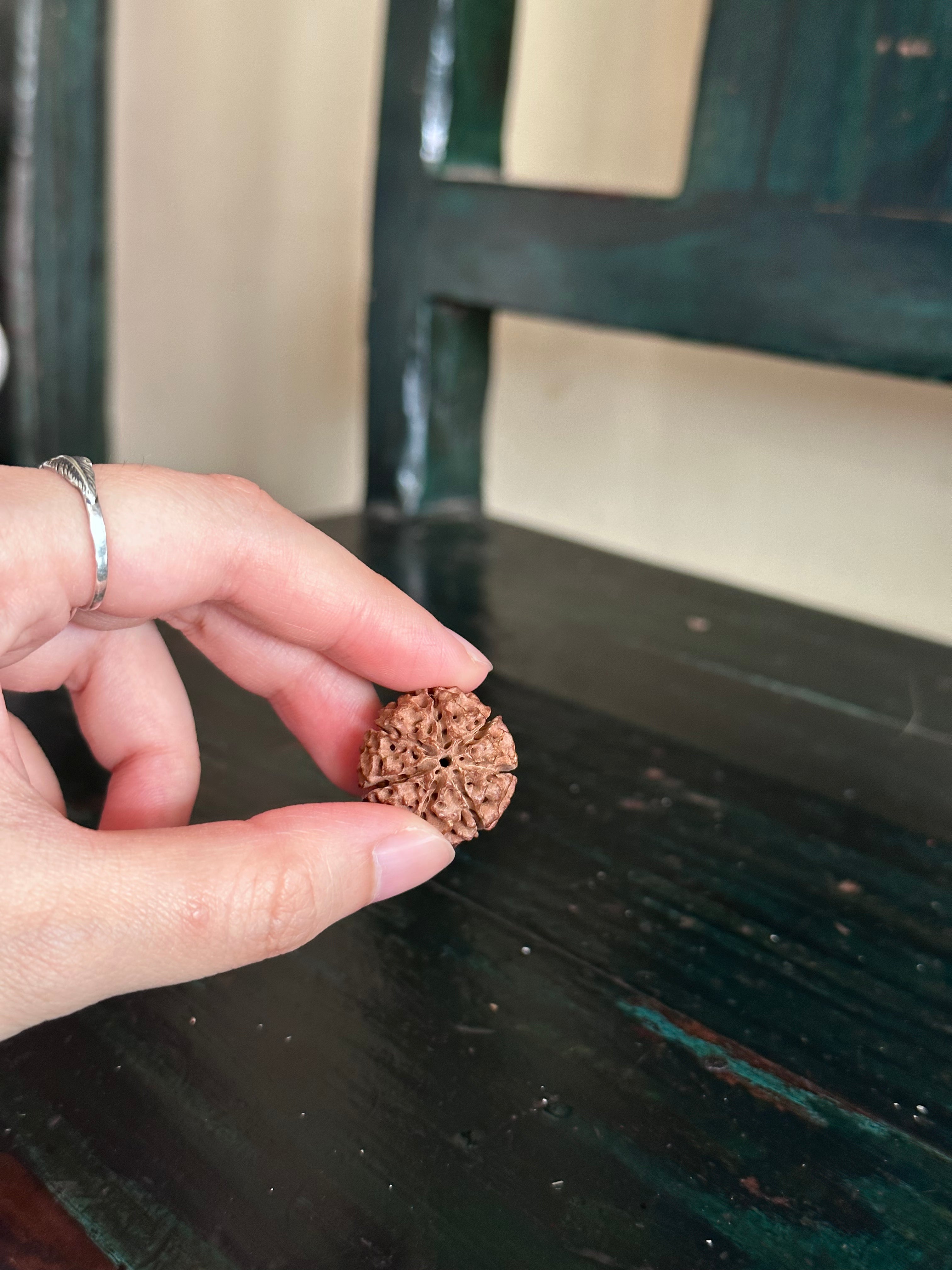 5-Face Rudraksha Mala 108 beads(Tridatu) 五面金剛菩提念珠(三色)