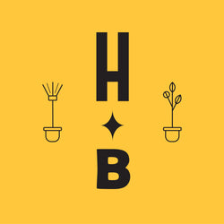 Book a Visit to HB 預約前來神泡魔法室