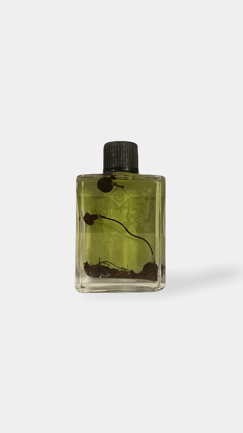 Money Drawing oil
