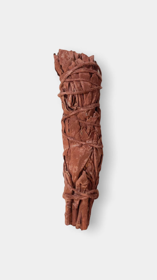 Dragon Blood Sage〔龍血鼠尾草〕