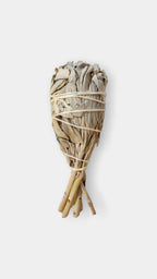 Ethically Wildcrafted Sage〔野生鼠尾草〕